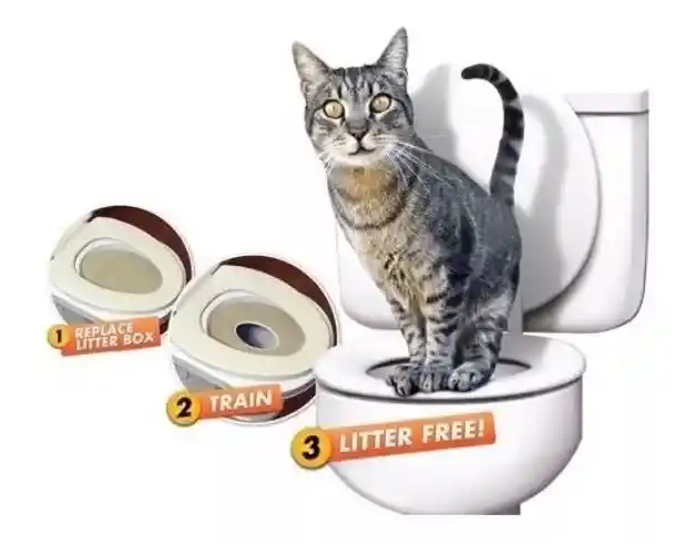 Kit Entrenamiento Baño Para Gatos City Kitty