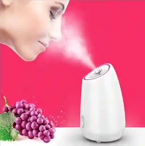 Vaporizador Facial Limpieza De Poros