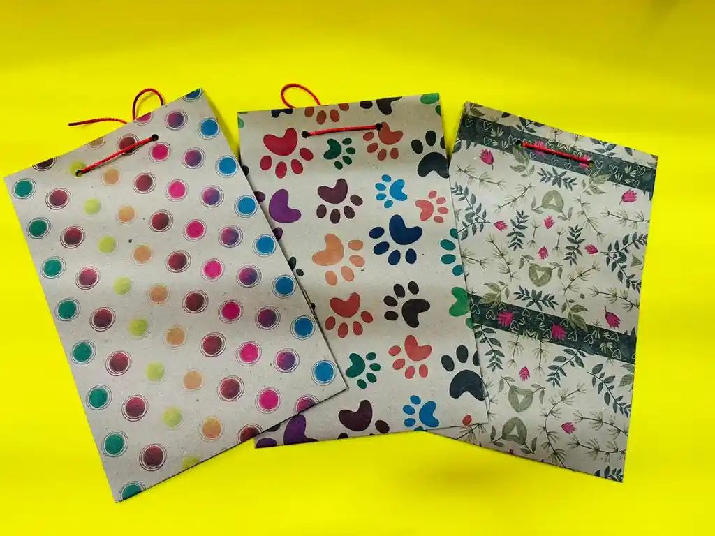 Bolsa De Regalo Kraft Mediana