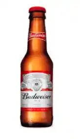 Budweiser 250 Bt X6 Und
