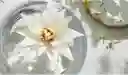 Cielo Jabón Perfumado Yanbal