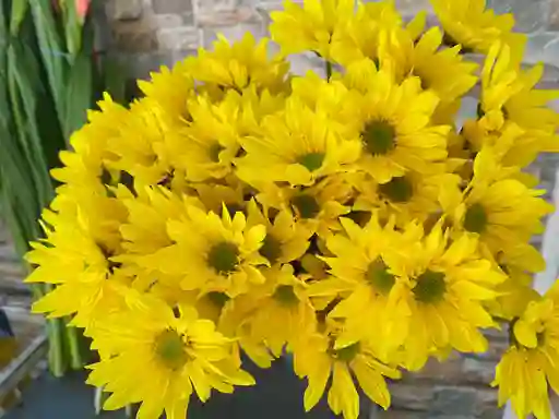 Margaritas Amarillas