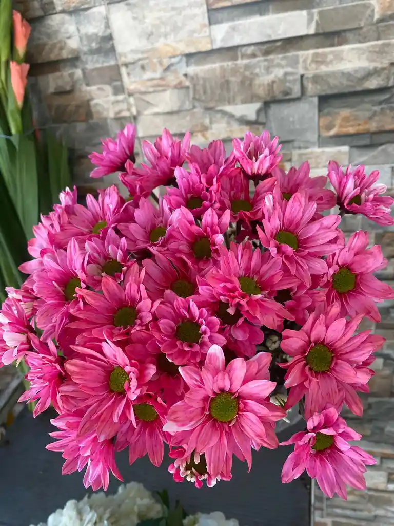 Margaritas Rosado Fuerte