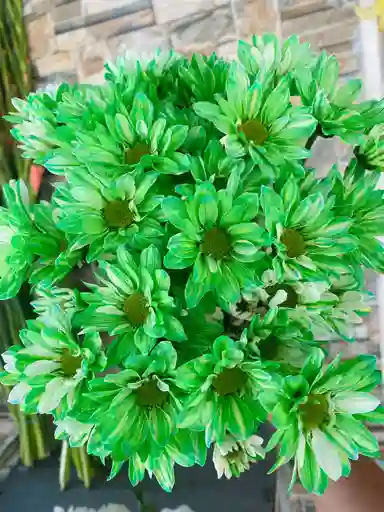 Margaritas Verdes