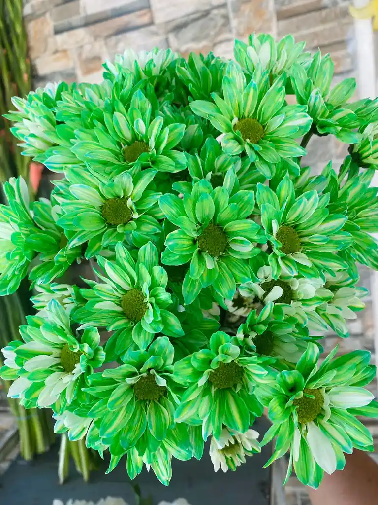 Margaritas Verdes