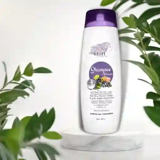 Shampoo Crecimiento Y Anticaida Kesh X 400ml