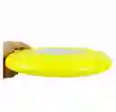 Frisbee Colores