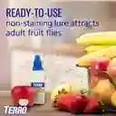 Terro Trampa Para Moscas Mata Moscas Y Mosquitos De Frutas Mata Zancudos