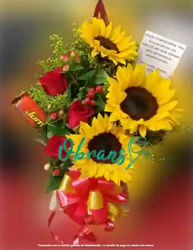 Ramo Choco Girasoll