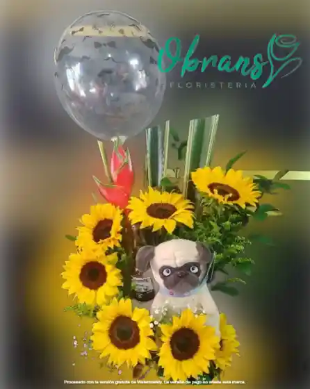 Ramo Girasoles En Luna Con Peluche Personalizado