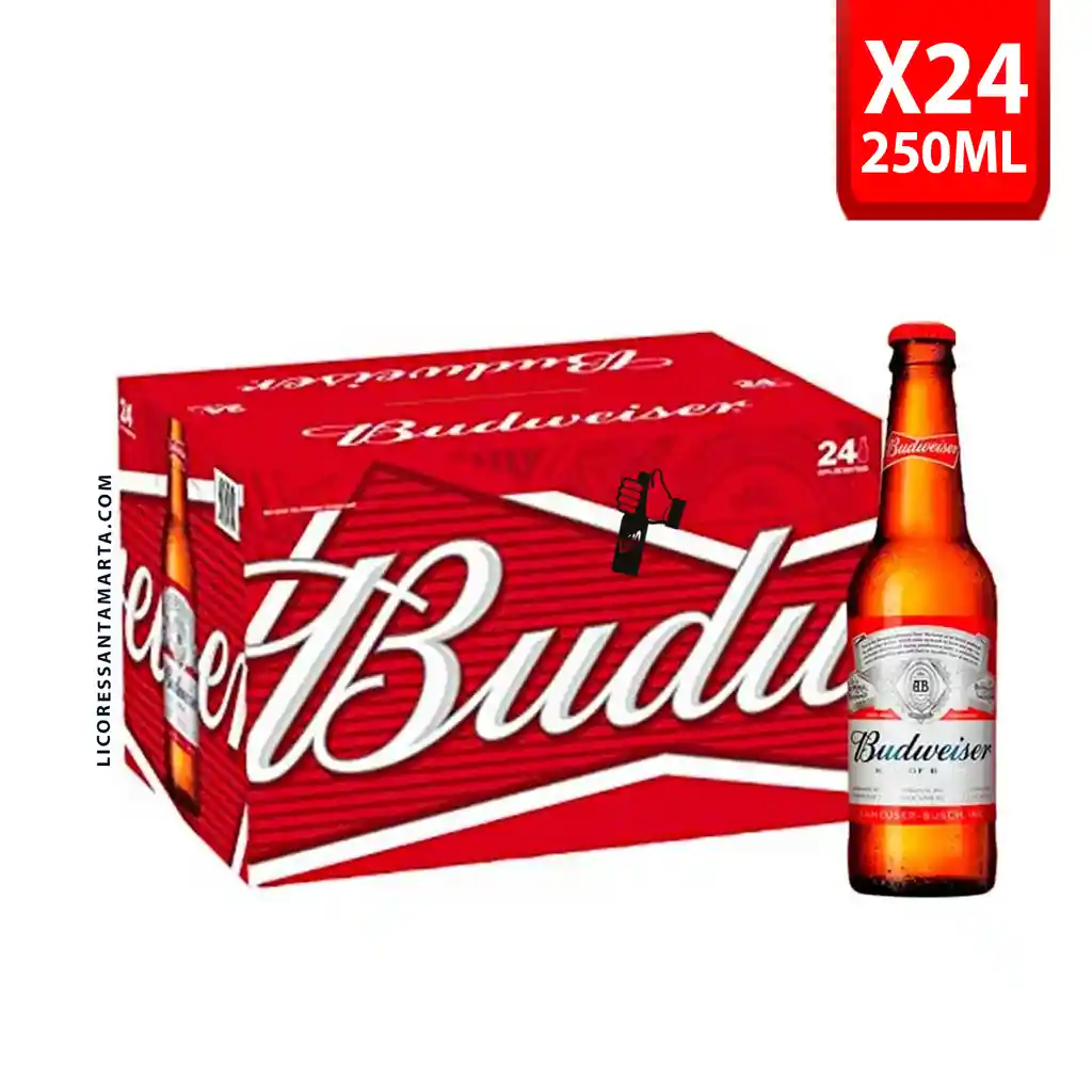 Budweiser Botella 250x24