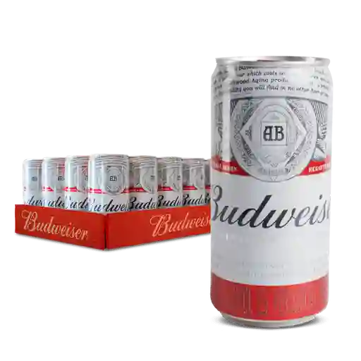Budweiser Lata 269x24