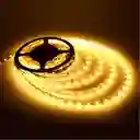 Cinta Led X Rollo 5 Mtrs Completa Luz Calida