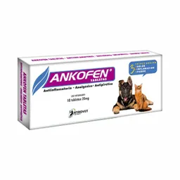 Ankofen 20 Mg X 10 Tabs