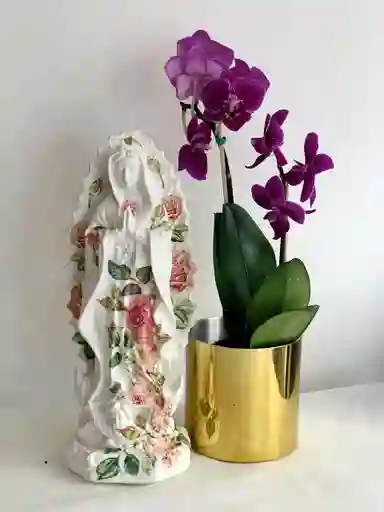 Orquideas Minis Base Cromada + Virgen 22 Cm