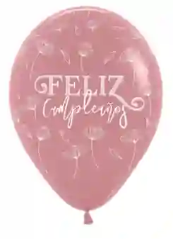 R-12 Globos Bombas Fiesta Sempertex Infinity Feliz Cumpleaños Rosas Palo De Rosa X12 Globos