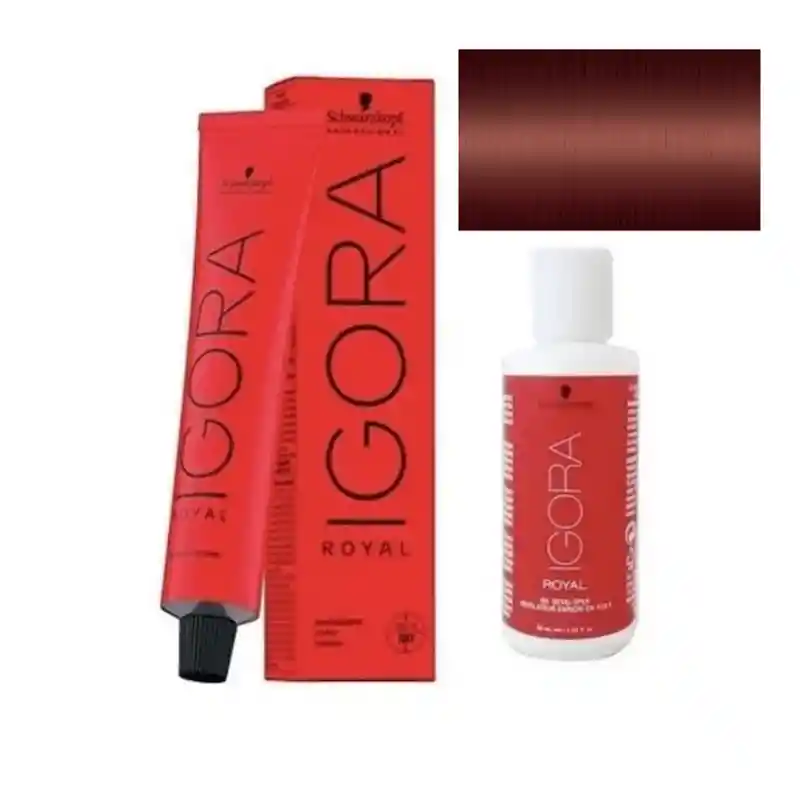 Igora Royal 6-88 Rojo Extra 60 Ml