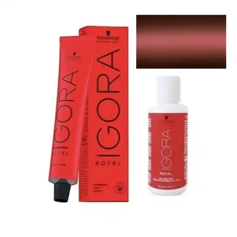 Igora Royal 5-88 Rojo Extra 60 Ml