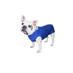 Ropa Post Quirurgica Bulldog Frances Macho Azul Pp (7 A 9 Kg)