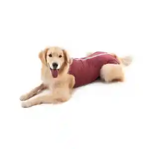 Ropa Post Quirúrgica Canino Hembra Rosa 5 (6 A 8 Kg)