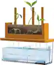 Experimento Haz Crecer Una Planta Juego Stem Niños Niñas