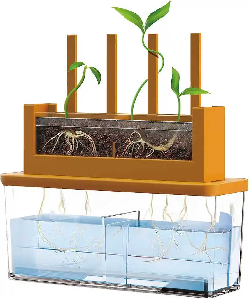 Experimento Haz Crecer Una Planta Juego Stem Niños Niñas