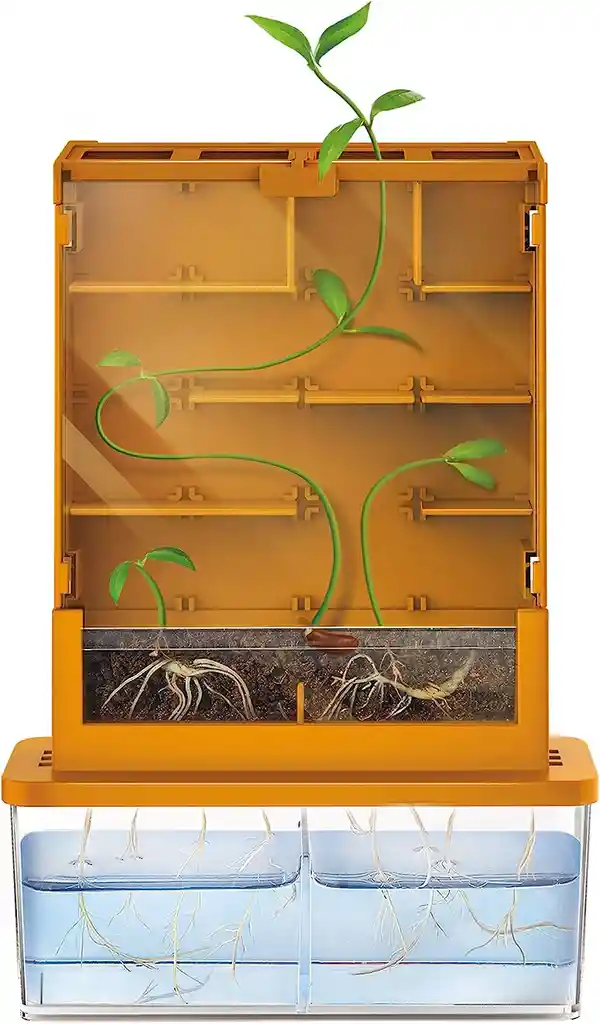 Experimento Haz Crecer Una Planta Juego Stem Niños Niñas