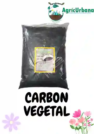 Carbon Vegetal Alimento Plantas Mata Cultivo Suelo