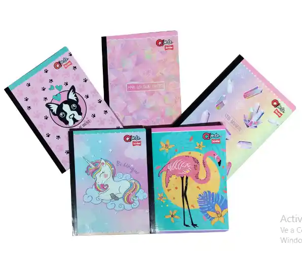 Cuaderno Cosido 50 Hojas Qnota