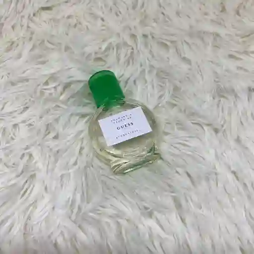 Perfume Guess | 1 Onza | Fragancia Femenina