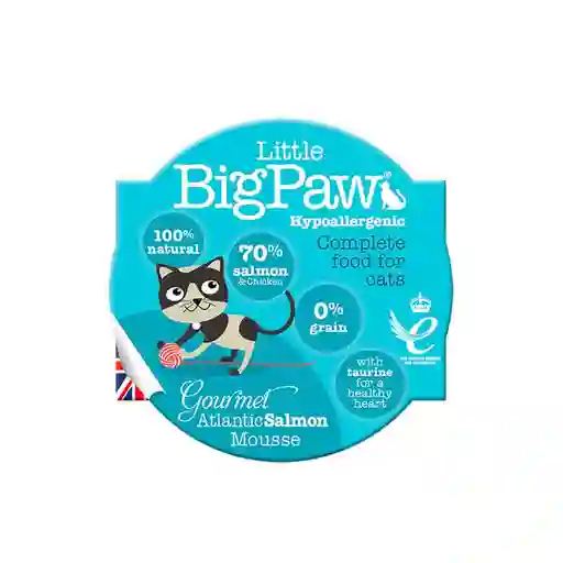 Little Big Paw Hipoalergénico Para Gato