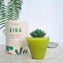 Regalo De Vida En Vela🕯️- Vainilla