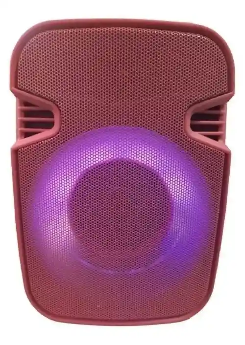 Parlante Portátil Inalámbrico Luz Led Usb Bluetooth Radio Ms-2645bt