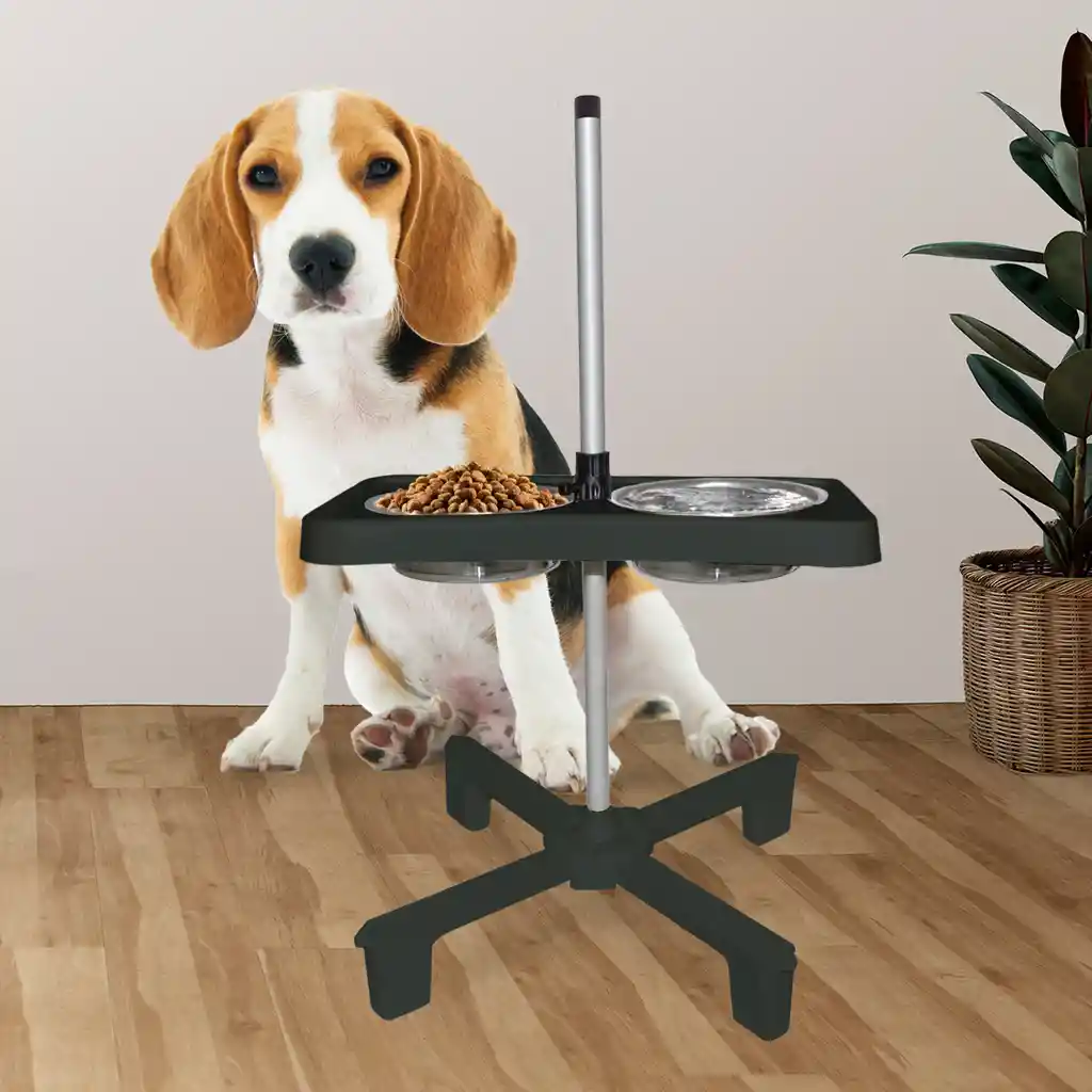 Comedor Ajustable Para Mascotas Grande