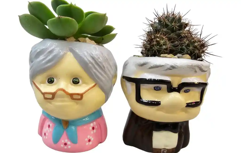 Suculenta Y Cactus En Matera De Los Personajes De Carl Y Ellie De Up