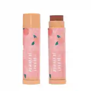  Pomada Para Labios TRENDY Tono Melon 