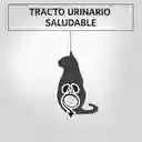 Comida humeda para gatos sabor a salmón Purina Pro Plan x 85gr