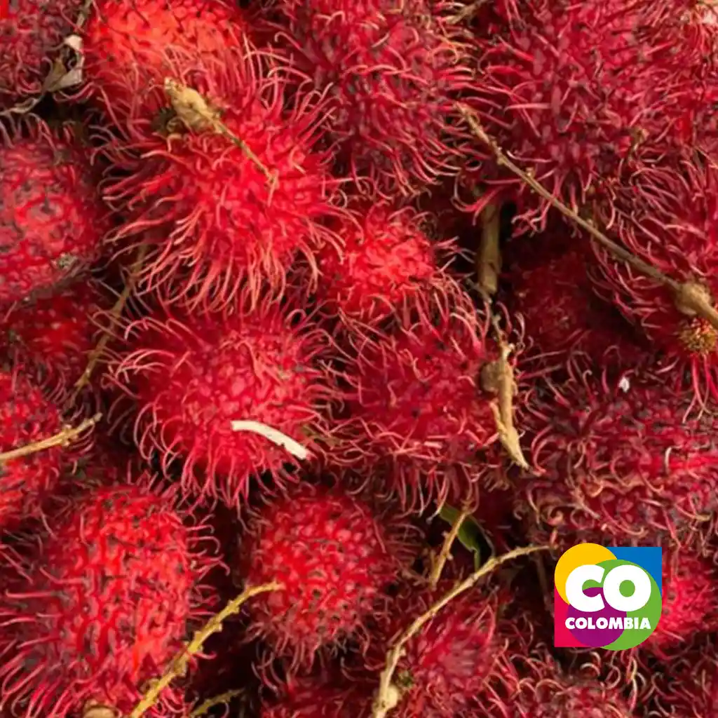 Lychee Por Libra - Rambutan