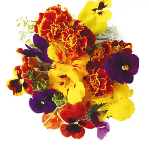 Mix Flores 50g