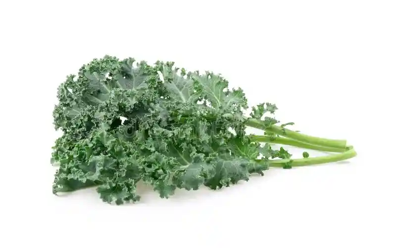 Kale Crespo 500 G