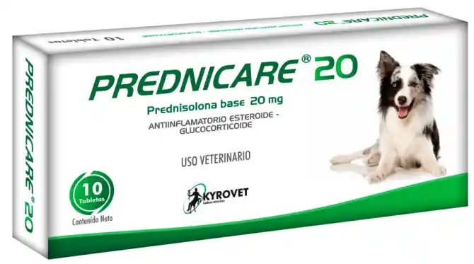 Prednicare 20mg X 10 Tab