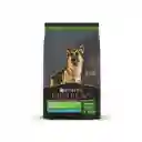 Pro Plan Sensitive Skin And Stomach Perro 10 Kg