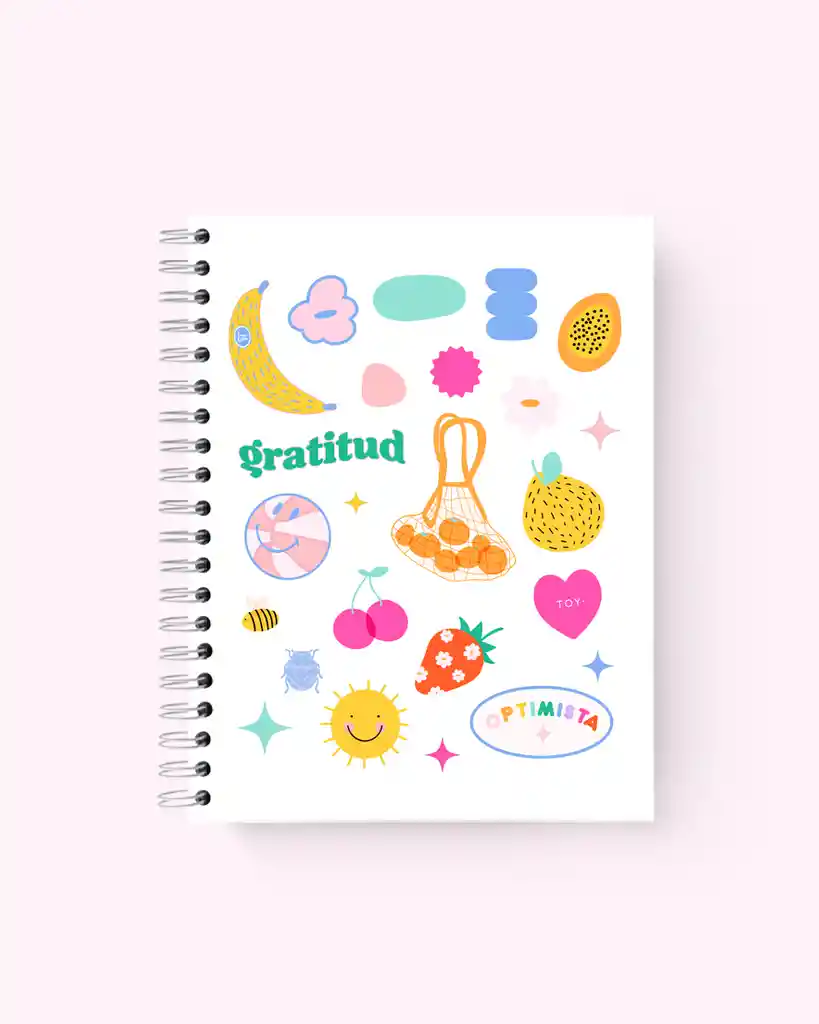 Notebook Mini Market Rayado