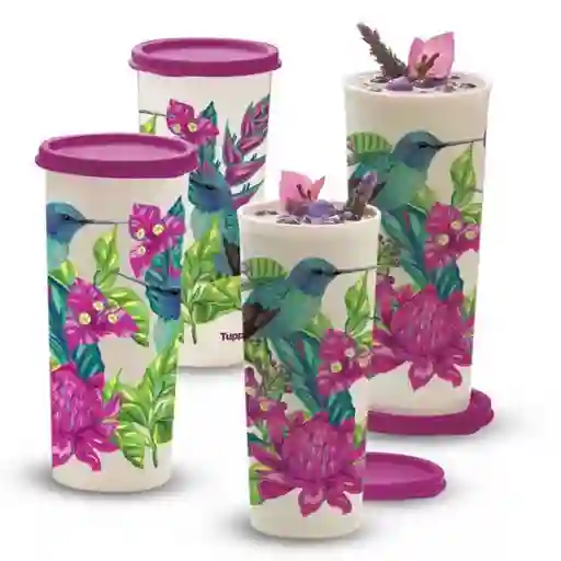  Juego 4 Vasos Maravilla Colibri 