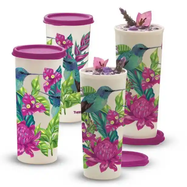  Juego 4 Vasos Maravilla Colibri 