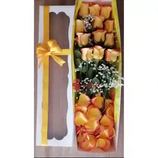 Caja X12 Rosas Salmon