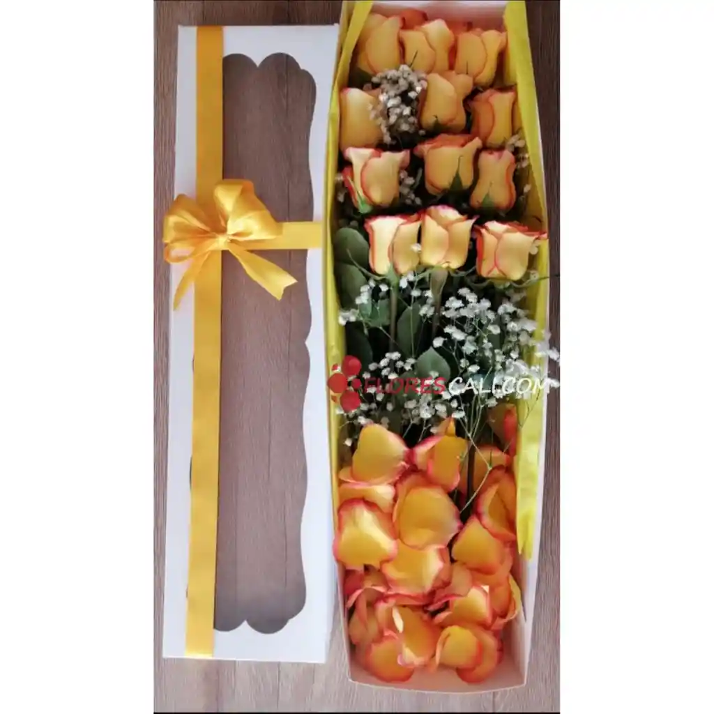Caja X12 Rosas Salmon