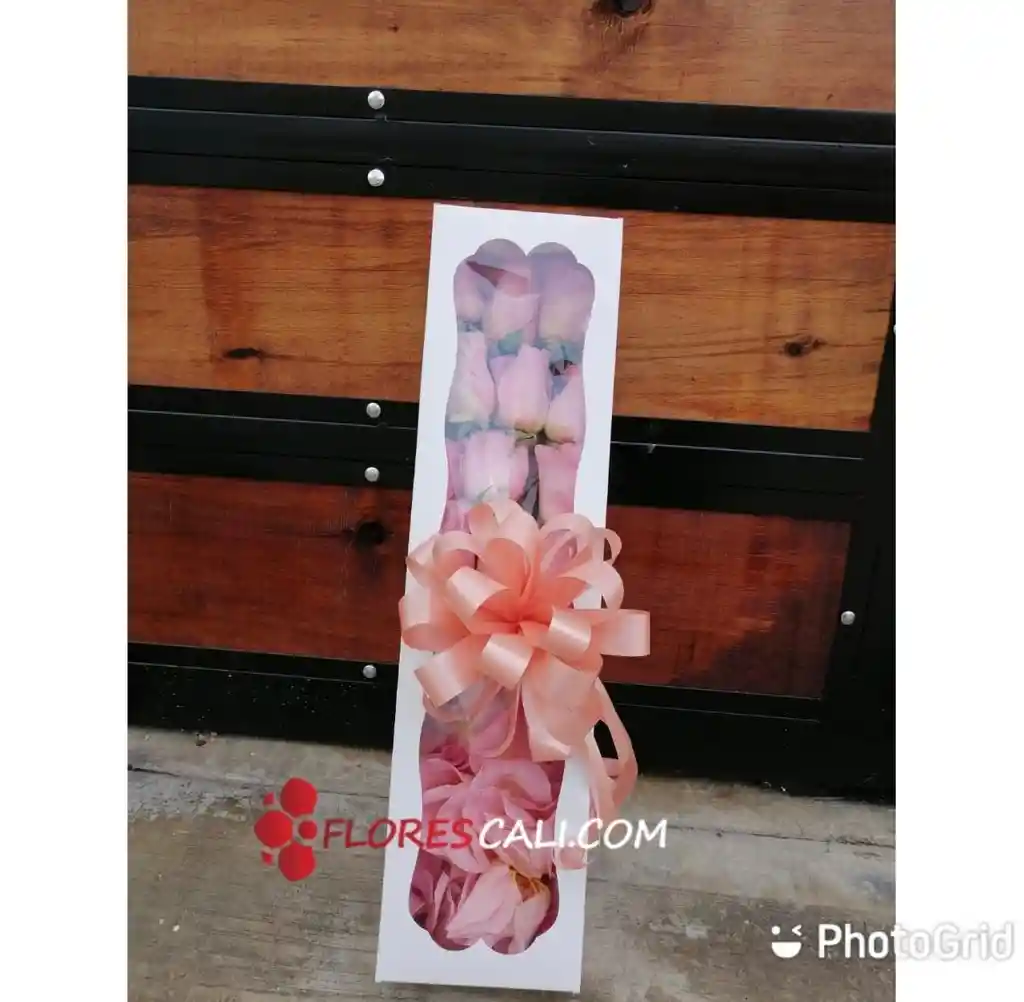 Caja X12 Rosas Rosadas