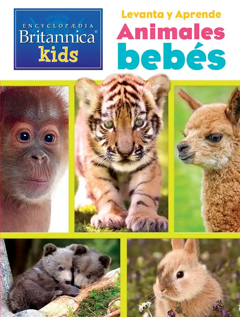 Libro Para Niños Busca Y Encuentra Animales Bebes