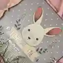 Libro Del Bebe Conejo Rosa